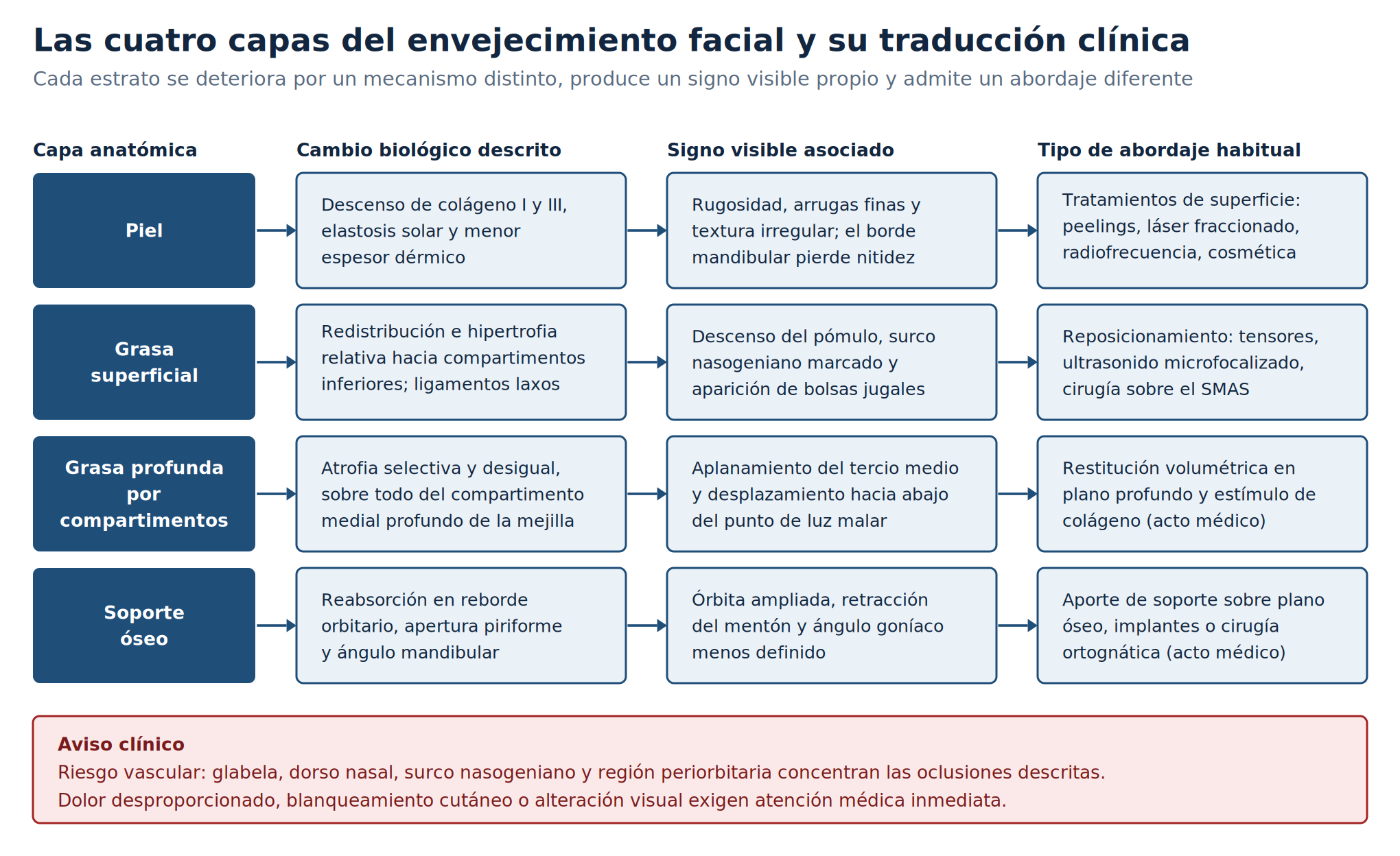 Facial contouring: anatomía, técnicas y límites de la remodelación facial 2 Diagrama de las cuatro capas del envejecimiento facial aplicadas al facial contouring